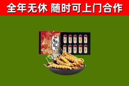 庐山市回收冬虫夏草价格